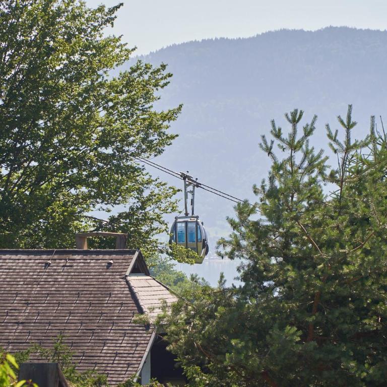 Alpine Lifestyle Apartment 20 I Gerlitzen-Ossiachersee I Alpe Maritima - Two-Bedroom Apartment - 21
