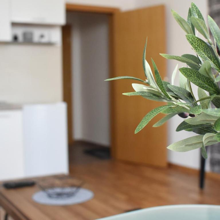 Millenium apartment - Apartman sa 1 Spavaćom Sobom - 4