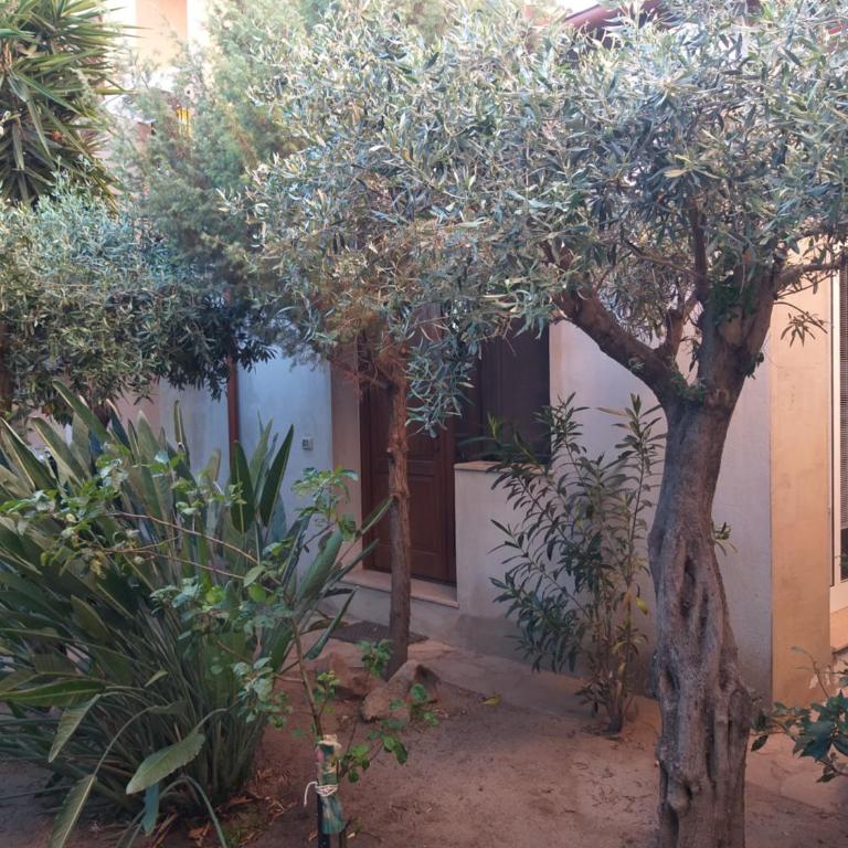 I Ginepri Guest House - Appartamento con 1 Camera da Letto - 5