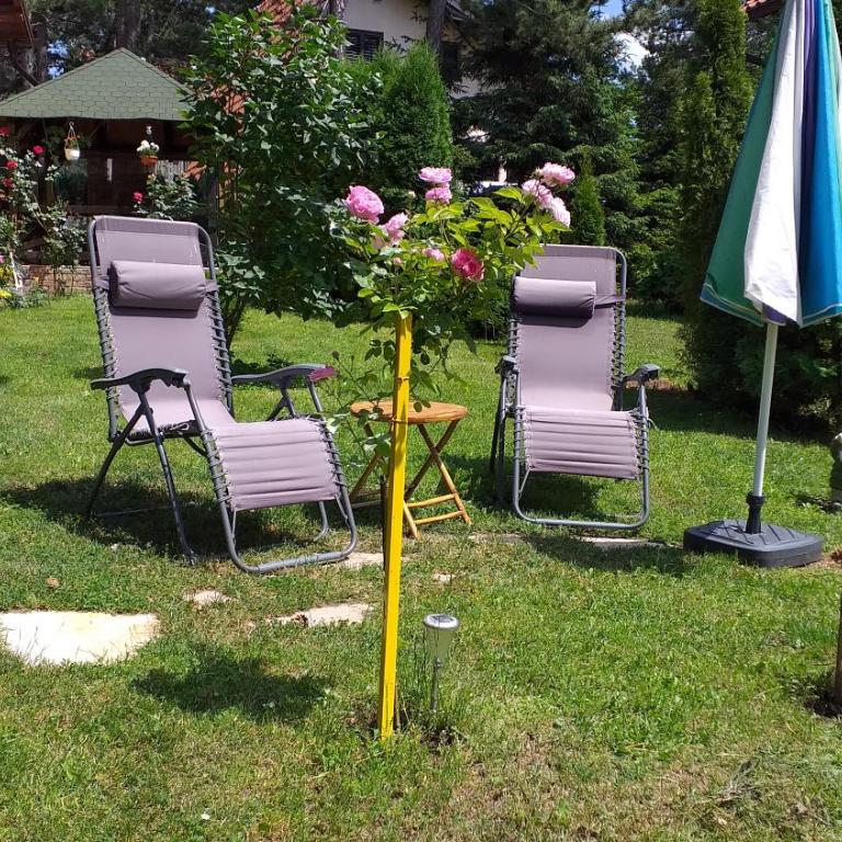 Villa Ruža Apartments - Studio - 5