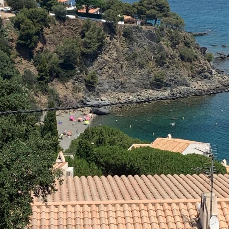 Llançà Apartament Platja Cau del Llop - Apartamento de 1 dormitorio - 4