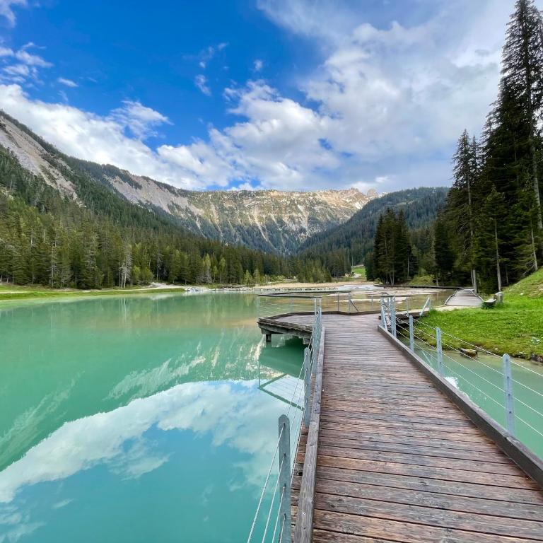 Chaleureux T2 La Tania Courchevel pieds des pistes - One-Bedroom Apartment - 17