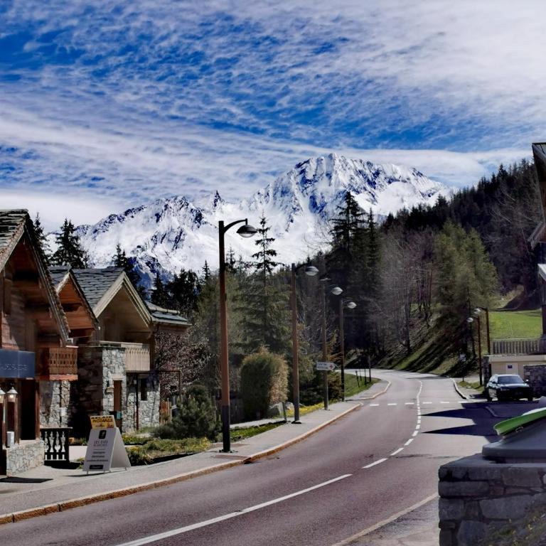 Chaleureux T2 La Tania Courchevel pieds des pistes - One-Bedroom Apartment - 19