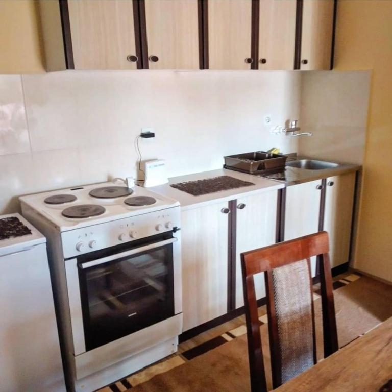 Studio Apartman Atila Sokobanja - Apartman sa 1 Spavaćom Sobom - 3