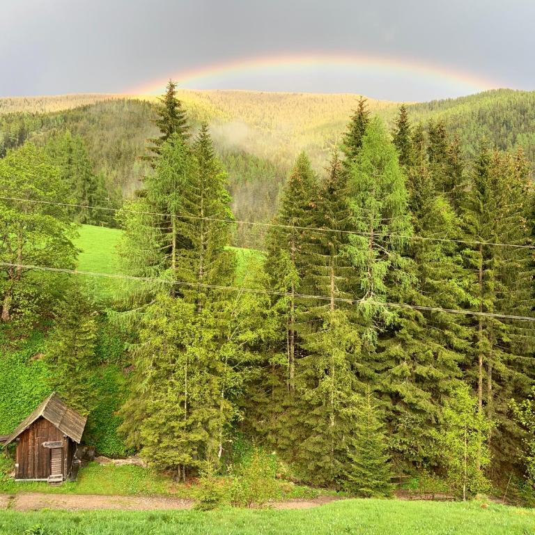 Nockalm Cottage - Apartment mit Blick auf die Berge - 9
