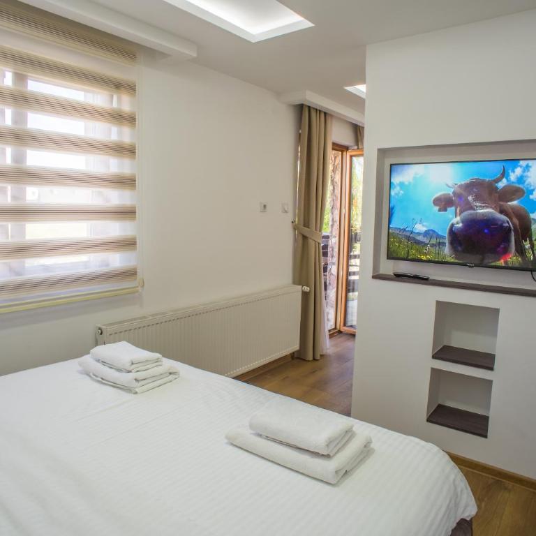Hotel Pavlović - Studio with Sofa Bed - 6