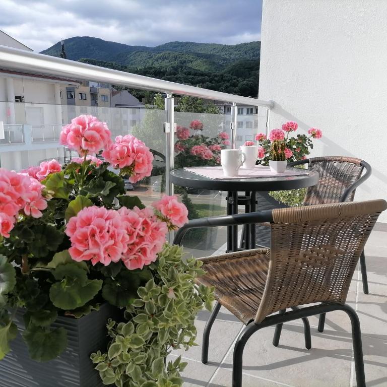 SvjetlanAlex 2 - Studio with Balcony - 6