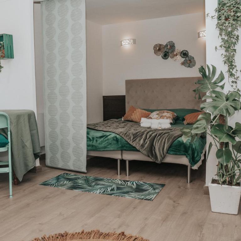 Grand studio, vue mer centre ville carte parking - One-Bedroom Apartment - 3