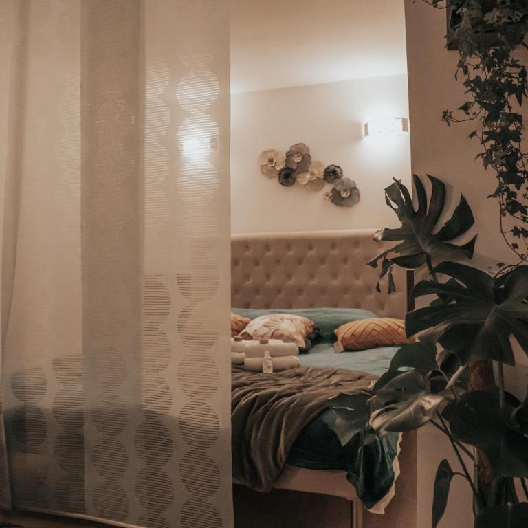 Grand studio, vue mer centre ville carte parking - One-Bedroom Apartment - 23