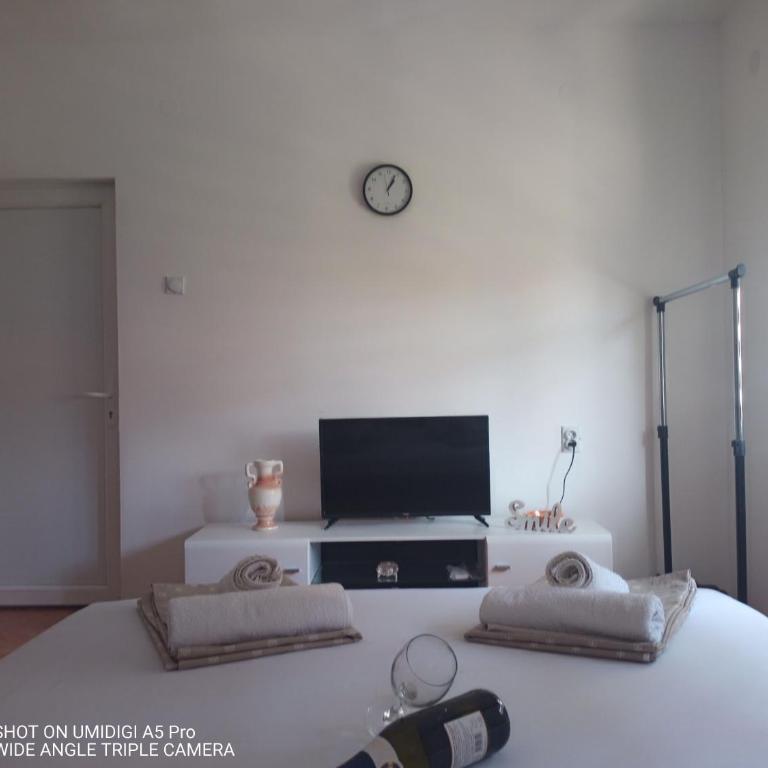 Relax Apartmani - blizu Neuromedic Niš - Studio sa Terasom - 1