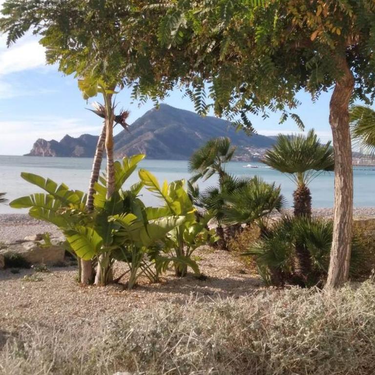 La Casa del Pescador - Altea casa con encanto - Casa de 2 dormitorios - 38