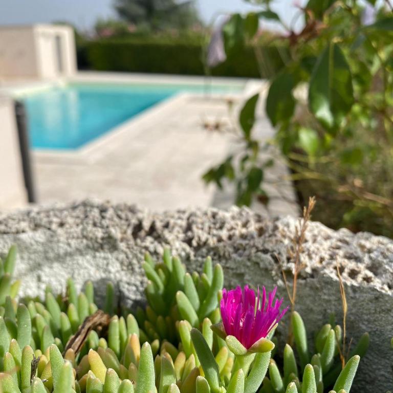 Il geco allegro - Appartamento con Vista Giardino - 11