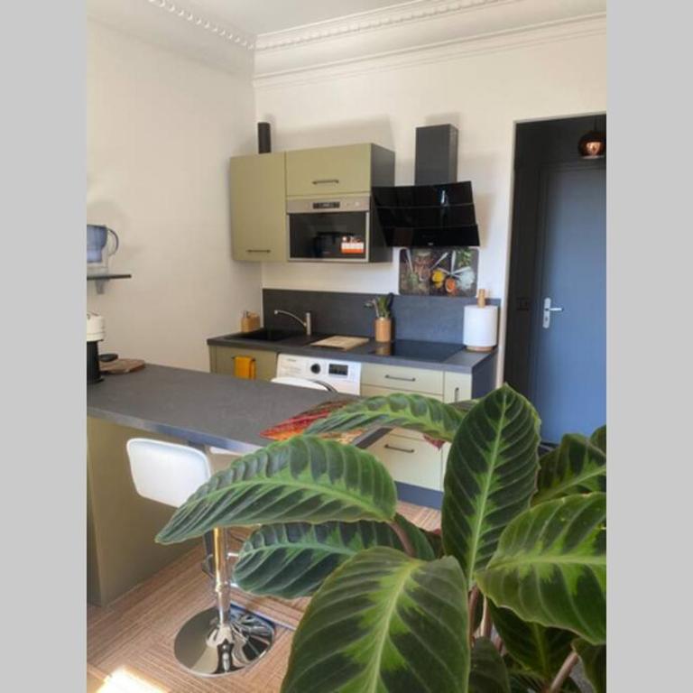 STUDIO NEUF ET PROCHE DES PLAGES DE JUAN LES PINS - One-Bedroom Apartment - 7