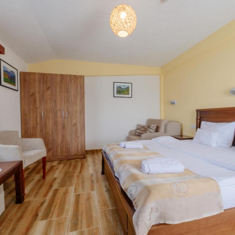 Hotel Zlatni bor - Deluxe Double Room - 1