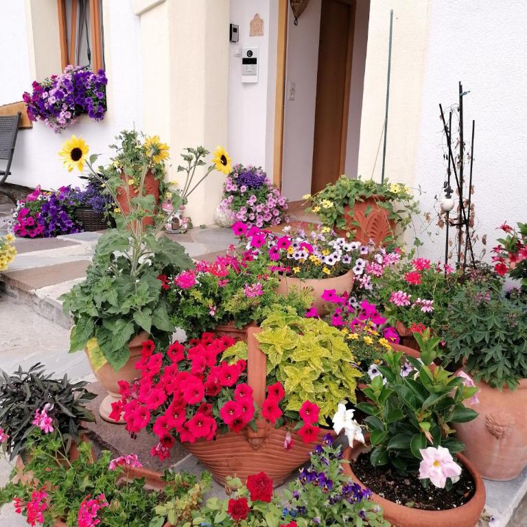 Ferienwohnung Spitzmandl - Apartment mit 2 Schlafzimmern - 5