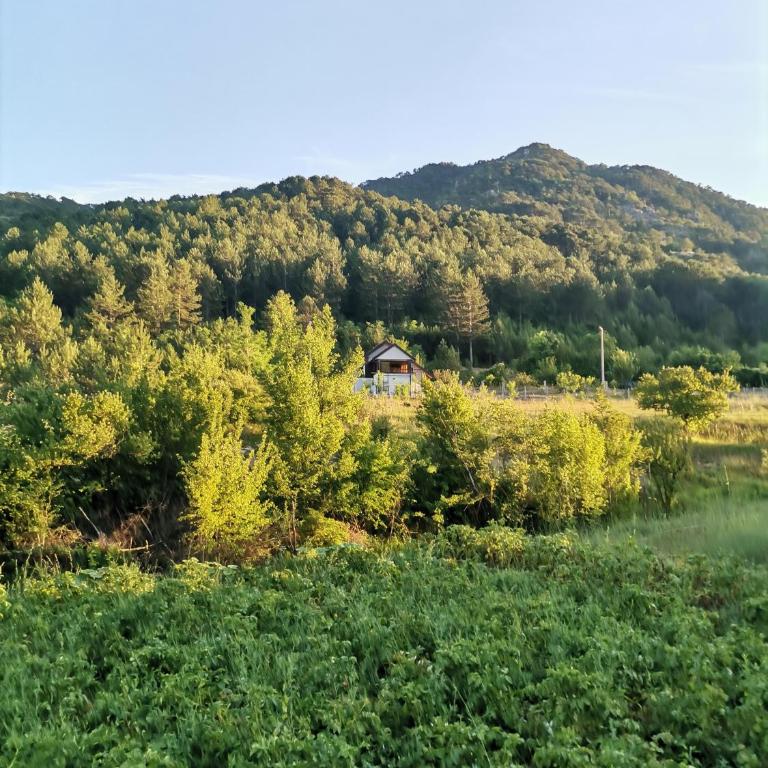 Trebinje - Vikendica Vukovic - Kuća sa 1 Spavaćom Sobom - 9