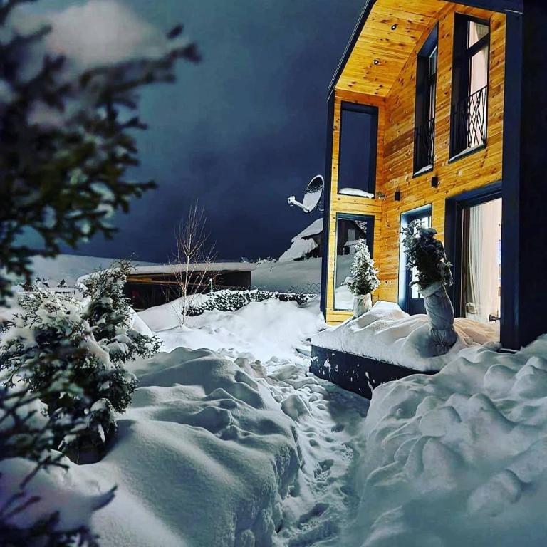 Vista Durmitor - luxury cabin - Two-Bedroom House - 5