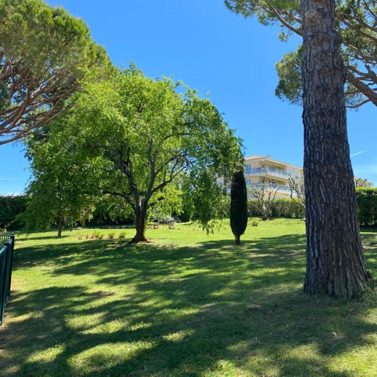 Le Maya - studio avec piscine Antibes - Studio - 19