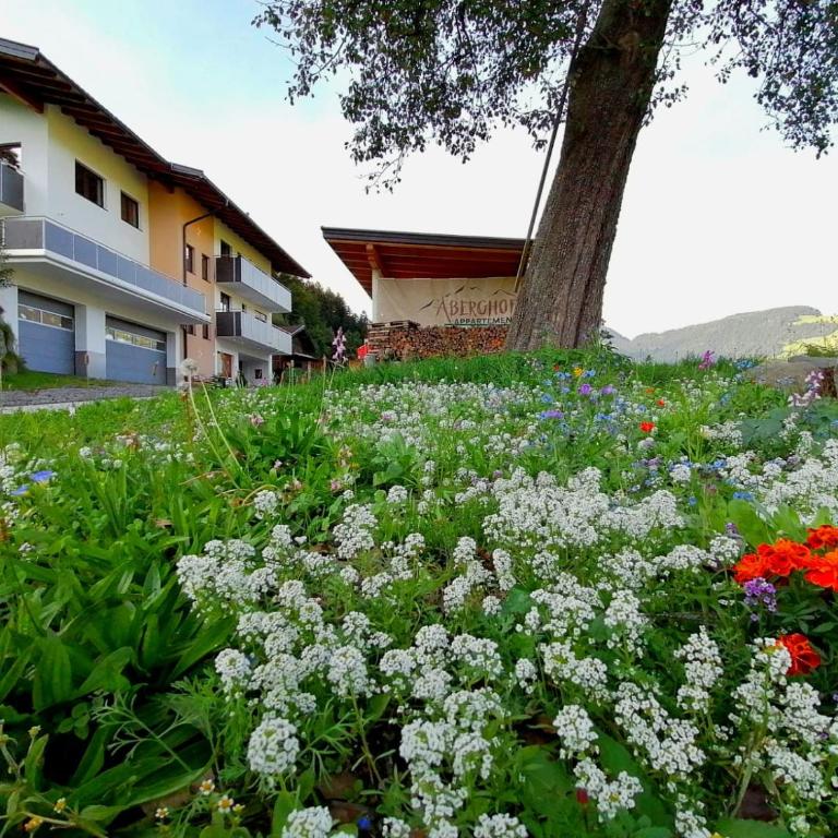 Aberghof - Apartment mit 2 Schlafzimmern - 20