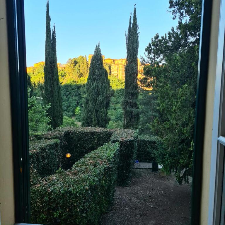 Villa Zara - Double Room with Shared Bathroom - 3