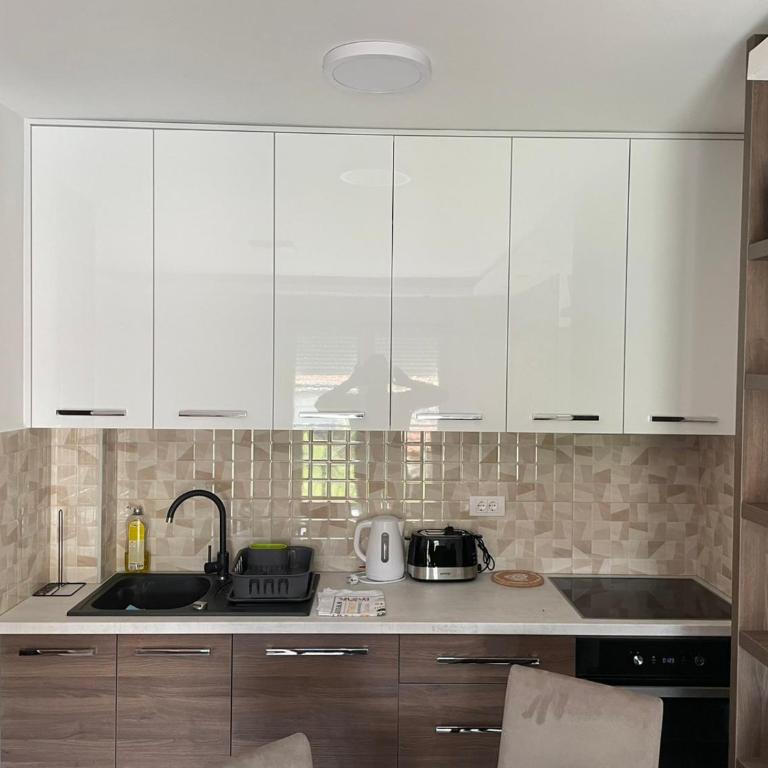 Vukov Apartman - Apartman sa 2 Spavaće Sobe - 14
