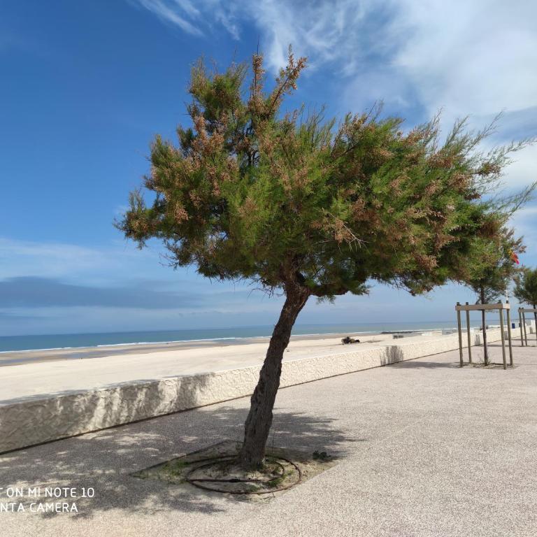 Joussac Côté Plage - Devant l'océan - Apartment with Sea View - 27