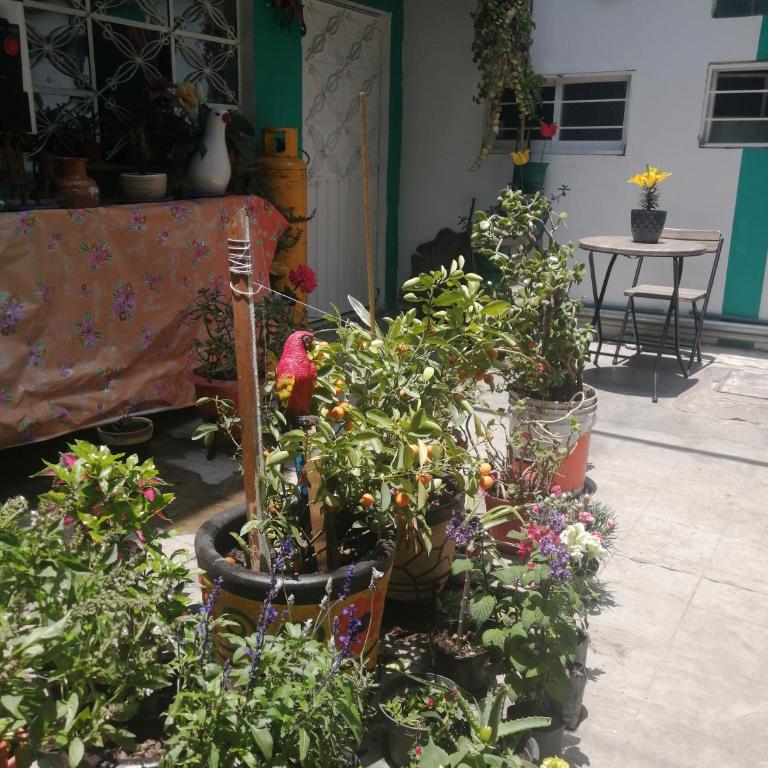 DEPARTAMENTO CERCANO AL AEROPUERTO T2, A 2 CALLES - Double Room with Two Double Beds - 14