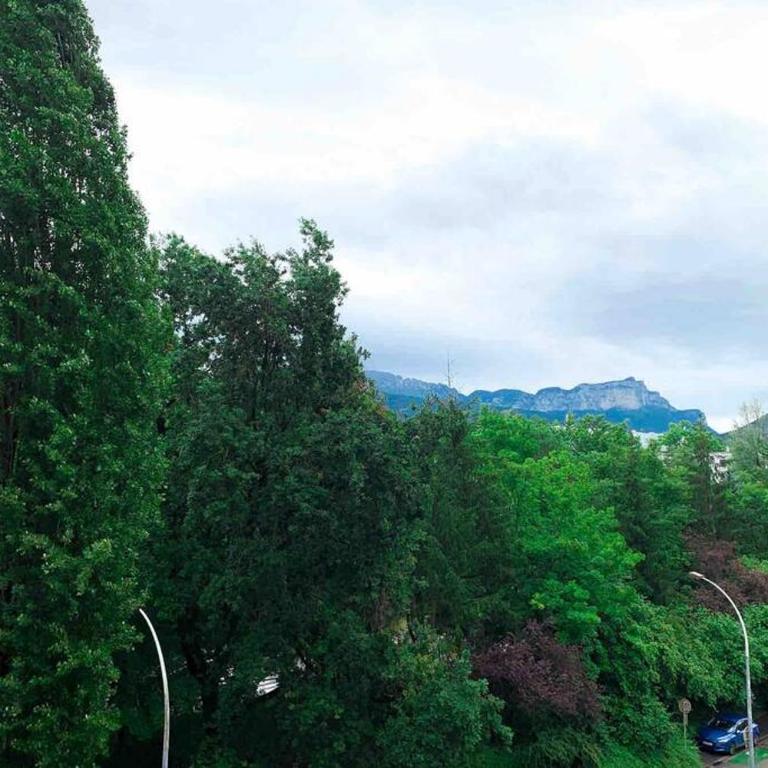 Charmant appartement avec vue sur les montagnes - Apartamento de 1 dormitorio - 8