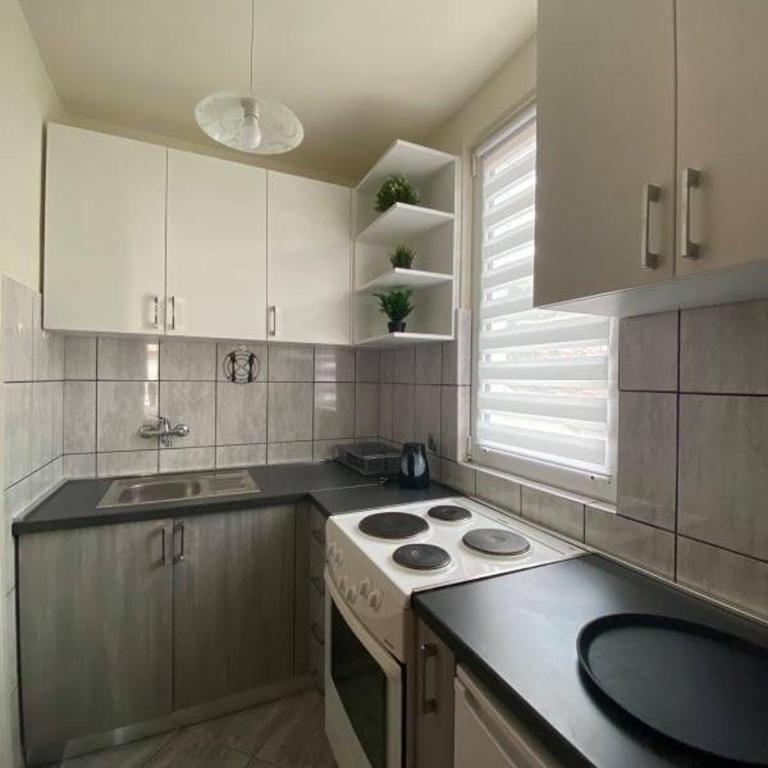 ABV Apartments - One-Bedroom Apartment - 9