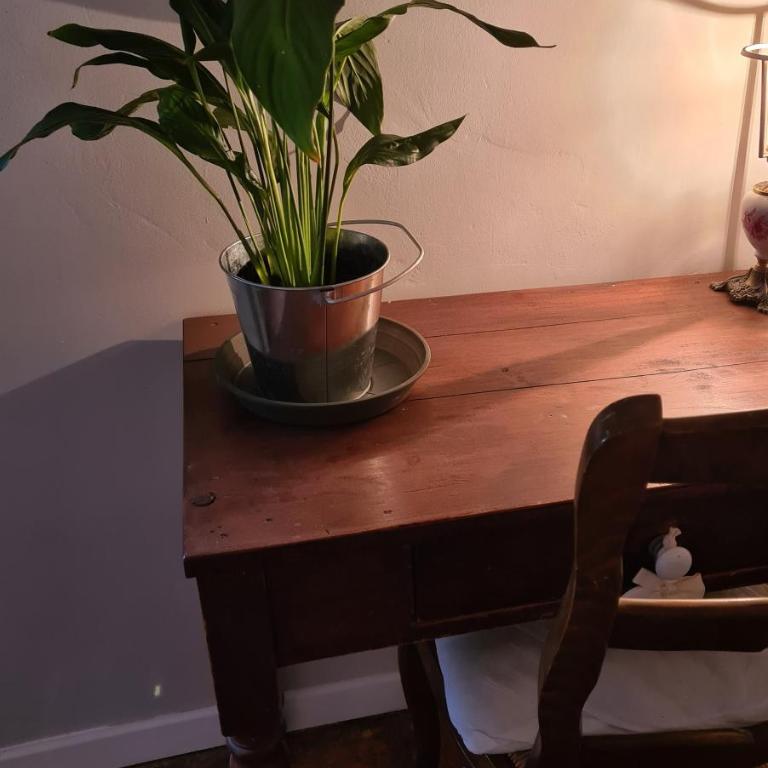 découvrez une ancienne maison de drapier du XVII siecle au coeur de bastide - Apartment mit 1 Schlafzimmer - 2