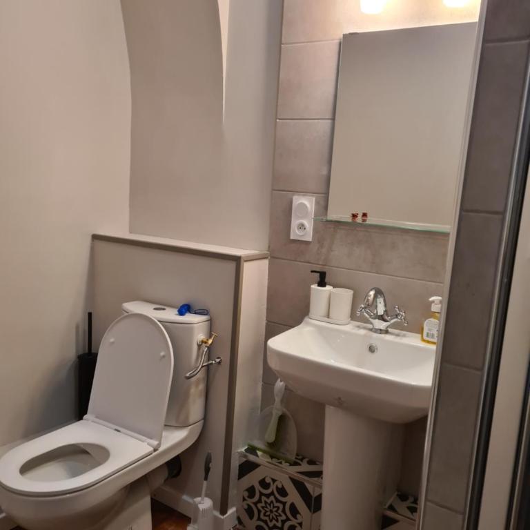 découvrez une ancienne maison de drapier du XVII siecle au coeur de bastide - Apartment mit 1 Schlafzimmer - 3