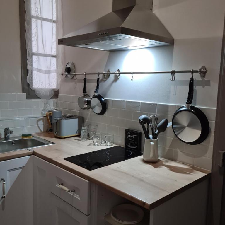 découvrez une ancienne maison de drapier du XVII siecle au coeur de bastide - Apartment mit 1 Schlafzimmer - 5
