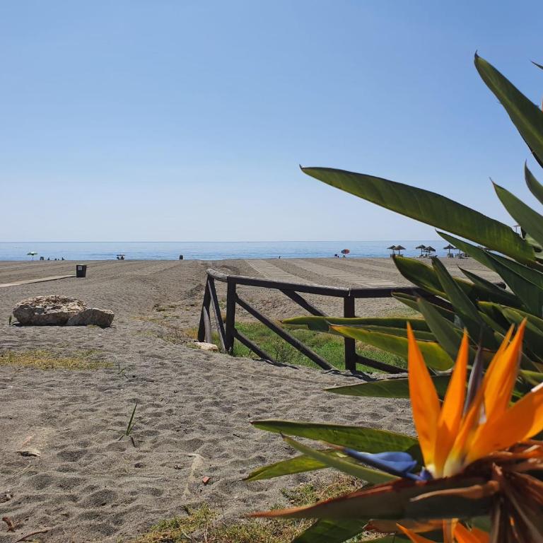 Boutique apartment near the beach, 1 Gbps Wi-Fi - Apartamento de 2 dormitorios - 50