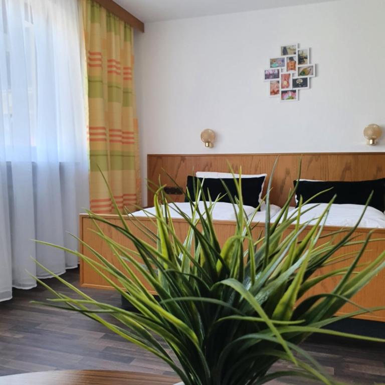 Kurhotel Anders - Standard Doppelzimmer - 1