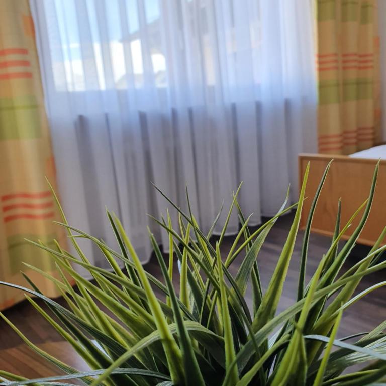 Kurhotel Anders - Standard Doppelzimmer - 2