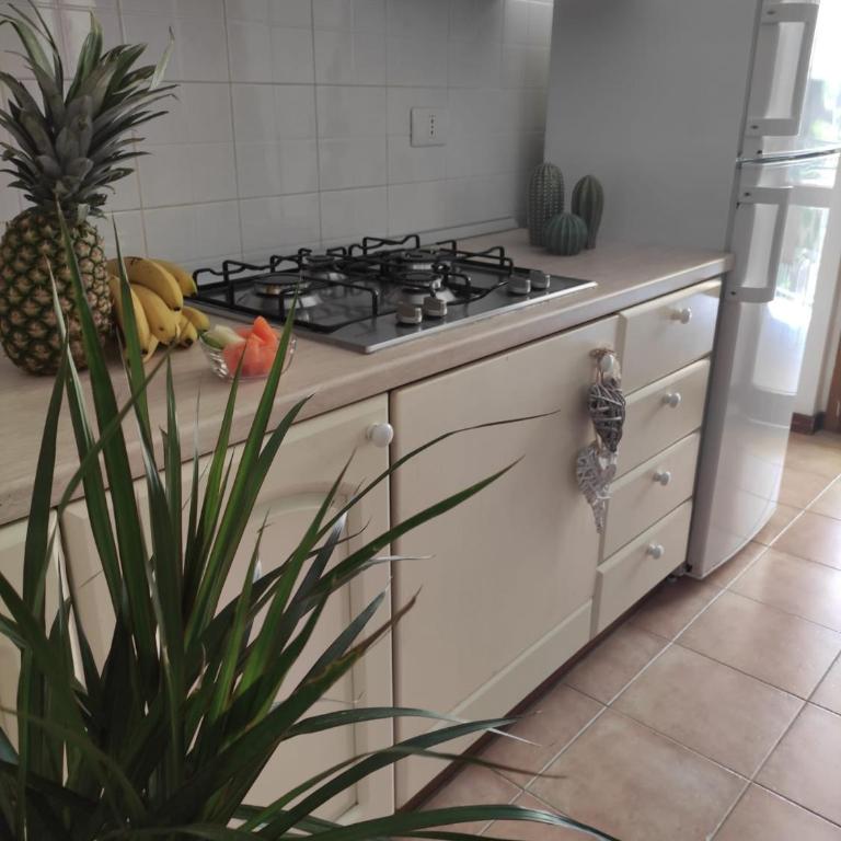 Amore Cove Apartment - Riomaggiore - 5 terre - Apartamento de 2 dormitorios - 32