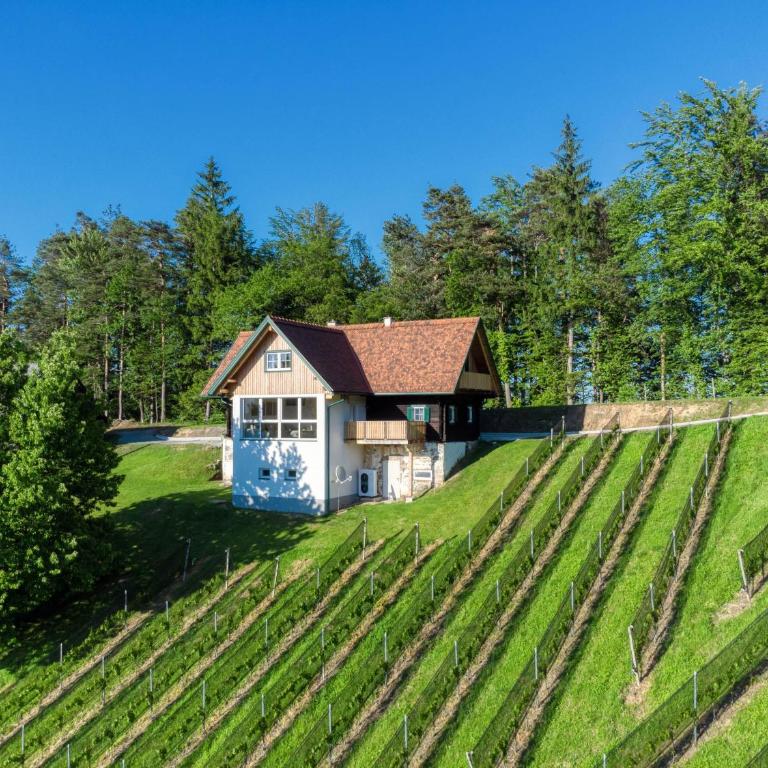 Ferienhaus Wagnerfranzl - Haus mit 4 Schlafzimmern - 1