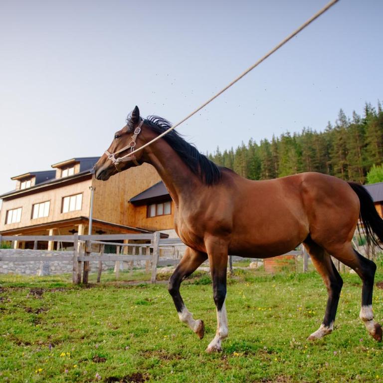 Etno selo Zminica - One-Bedroom House - 33