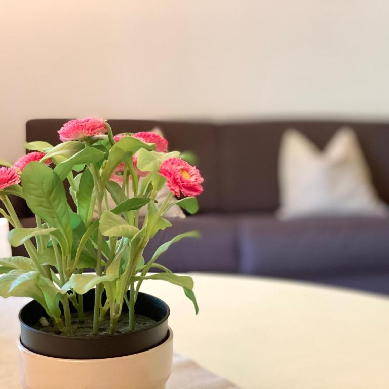 Jolly Apartments - Appartamento con 2 Camere da Letto - 14