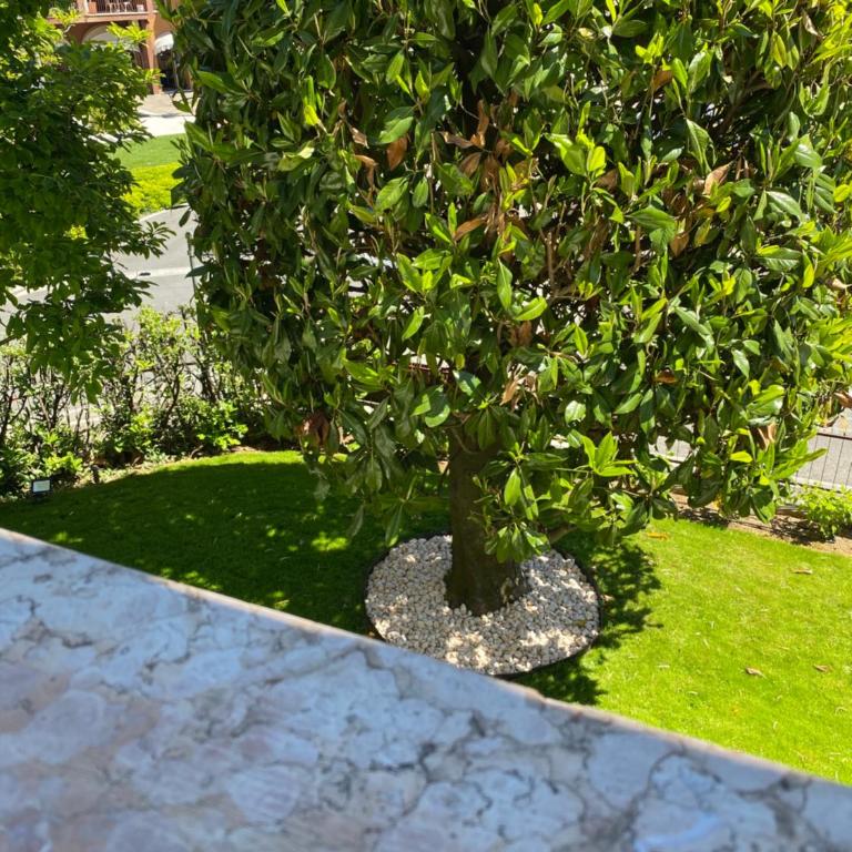 Jolly Apartments - Appartamento con 2 Camere da Letto - 2