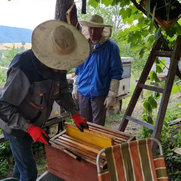 Miliceva ruza - Kuća sa 3 Spavaće Sobe - 48
