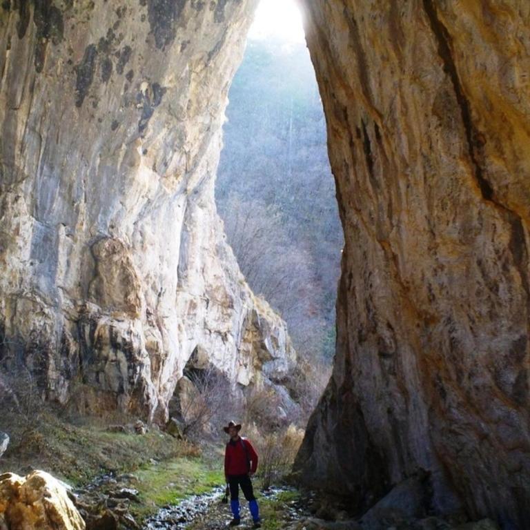 Miliceva ruza - Kuća sa 3 Spavaće Sobe - 49