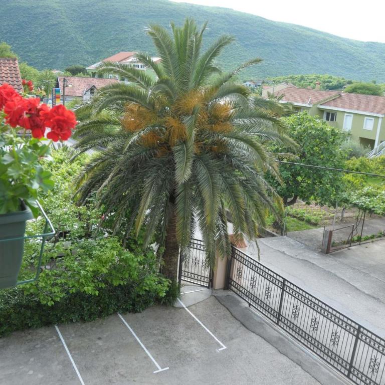 Apartments Royal - Studio (2 Odrasle Osobe) - 59