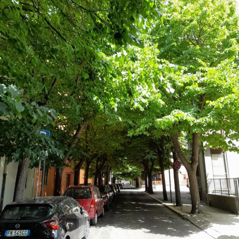Lilium Lecce Centro - Appartamento - 19
