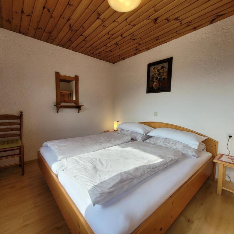Haus Bergleiten - Apartment mit Blick auf die Berge - 11