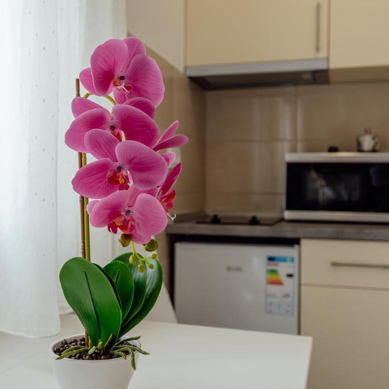Todorovic apartmani - One-Bedroom Apartment - 9