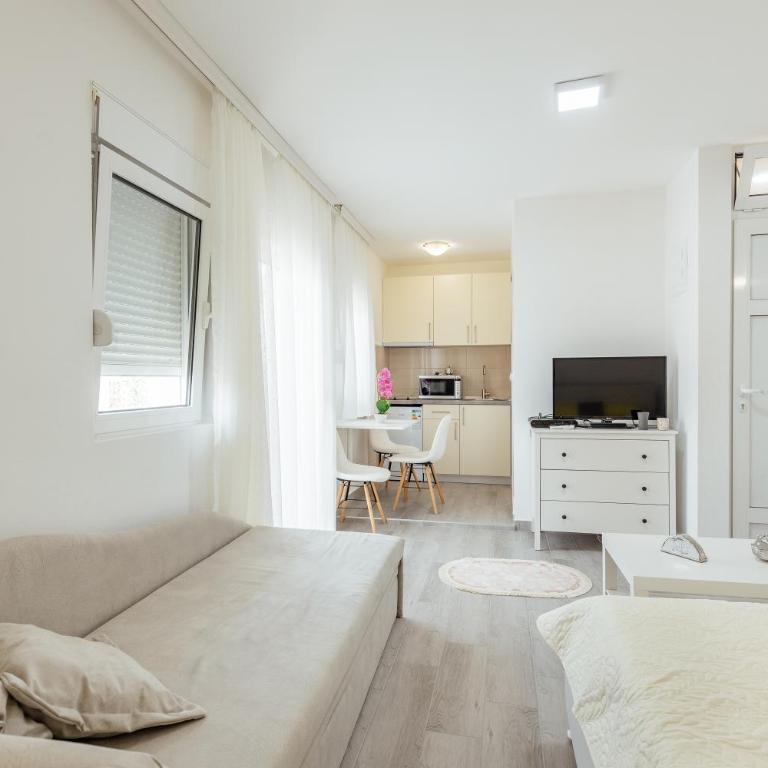 Todorovic apartmani - One-Bedroom Apartment - 18