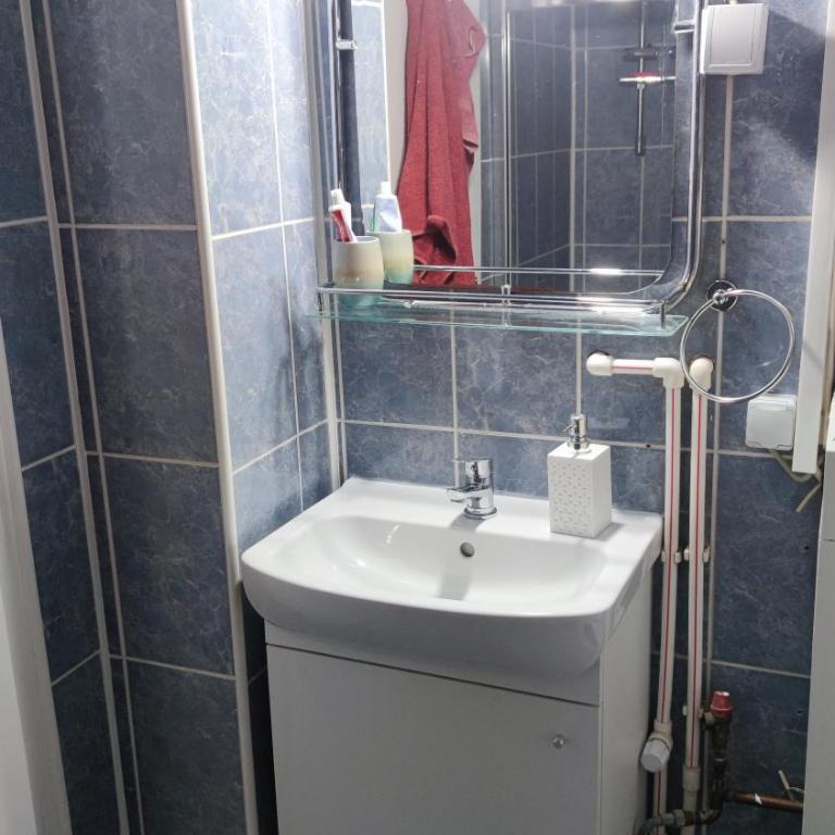 Vila Maksim Sokobanja - Deluxe Villa - 16