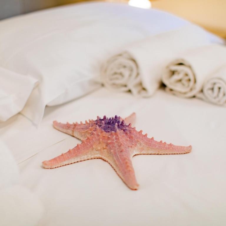 Pepe Nero Relax - Standard Double Room - 3