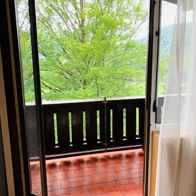 Buchenblick - Apartment mit 1 Schlafzimmer - 9